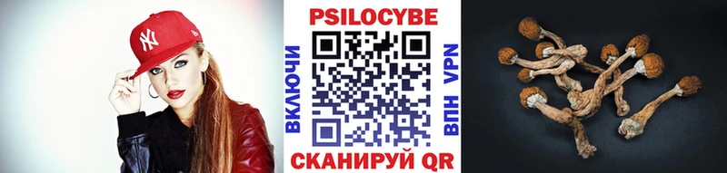 Галлюциногенные грибы Magic Shrooms  Юрюзань 